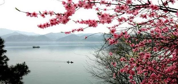 探寻自然之美与文学之韵，桃花汛最早章节揭秘