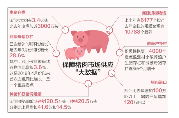 今日最早猪价行情分析与展望