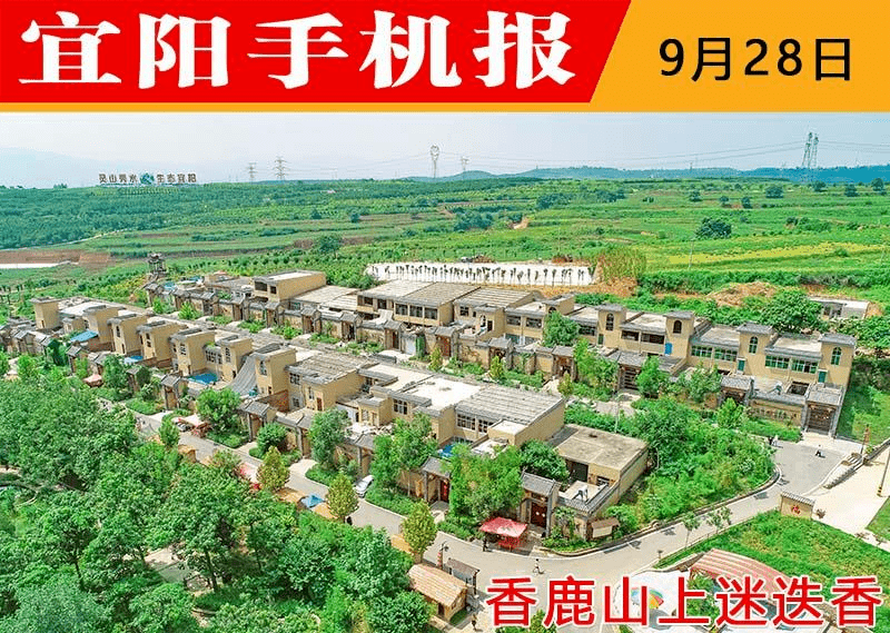 宜阳县手机报的起源与发展历程